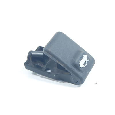 Canada Dry Ginger Ale – 2 L Bottle